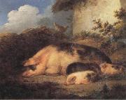 George Morland A Sow and Her Piglets Spain oil painting artist